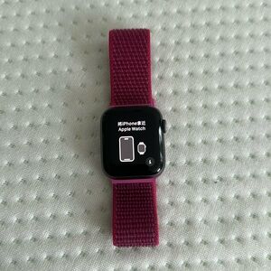 Series 4 Apple Watch